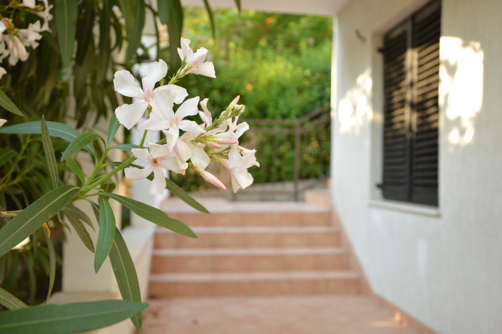 Holiday House Maja Podglavica Exterior photo
